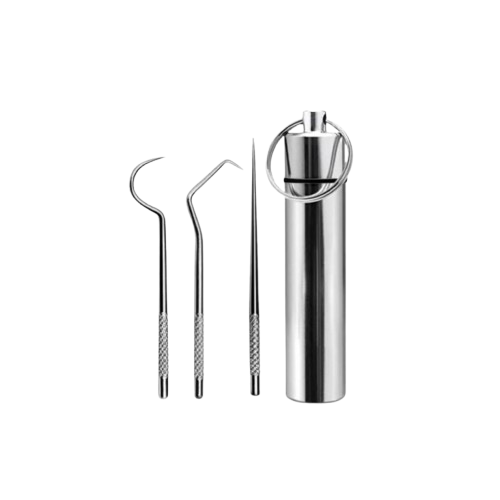 Kit de limpieza dental personal